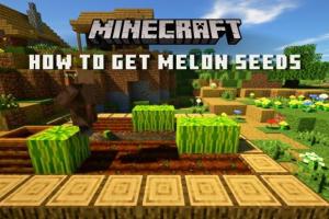 8 Effective Ways to Collect Melon Seeds in Minecraft: Java & Bedrock