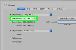 Unlocking the Web: A Complete Step-By-Step Guide to Acquiring a New IP Address