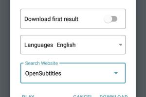 Ultimate Guide to Adding Subtitles to Downloaded Videos