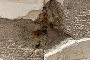 Understanding Asbestos in Plaster Walls: Identification, Safe Removal, and Essential Insights