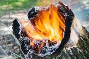 The Ultimate Guide to Safely and Effectively Burn a Tree Stump in Your Yard