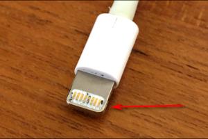 6 Quick Steps to Effectively Clean Your iPhone's Lightning Port