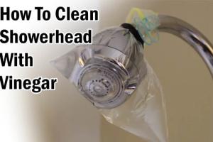 Ultimate Guide to Cleaning Your Showerhead with Vinegar: Easy Steps for a Pristine Finish