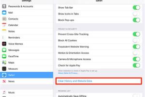 Ultimate Guide to Clearing Search History, Cookies & Cache on Your iPad