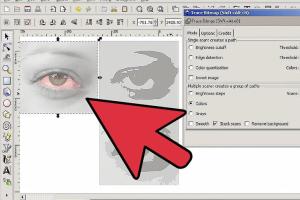Create Stunning Vector Outlines from Photos Using Inkscape: A Complete Guide