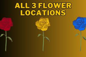 Discovering Red, Blue, and Yellow Flowers in Blox Fruits: Your Ultimate Guide