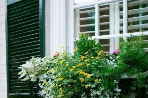 Ultimate DIY Guide to Hanging Window Boxes on Your Home's Exterior