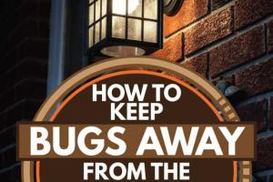 Effective Strategies to Keep Bugs Away from Your Porch Light