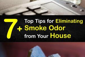 Effective Strategies to Eliminate and Hide Smoke Smell Indoors