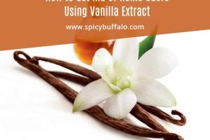Eliminate Home Odors Naturally: A Comprehensive Guide to Using Vanilla Extract