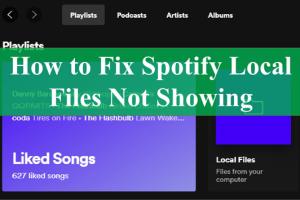 Solving Spotify Local Files Missing Issue: Complete Guide for Mobile & Computer
