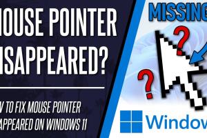 11 Essential Tips & Tricks to Restore Your Missing Windows Laptop Mouse Cursor