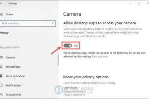 Ultimate Guide to Fixing Webcam Black Screen Issues on Windows