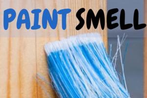11 Effective Ways to Get Rid of Paint Smells in Your Home