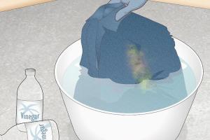 Got Mold? The Ultimate Guide to Cleaning Mold with Vinegar and Baking Soda