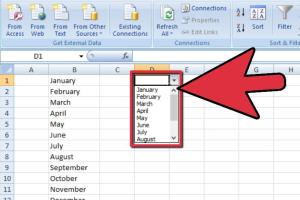Mastering Excel 2007: A Comprehensive Guide to Adding Drop Down Boxes