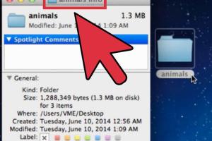 Ultimate Guide: How to Add a Picture to a Folder on Mac - Step-by-Step