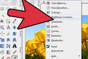 Mastering Brightness Adjustments in GIMP: A Comprehensive Guide