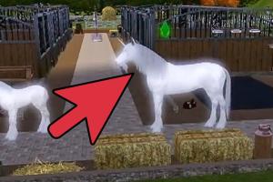 Unlocking Magic: Your Complete Guide to Adopting a Unicorn in The Sims 3 Pets (PC)