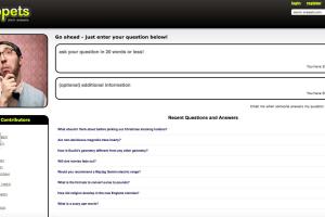 Mastering the Art of Questioning: How to Ask a Question on the Internet and Get It Answered