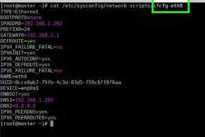 Step-by-Step Guide to Assigning an IP Address on a Linux Computer