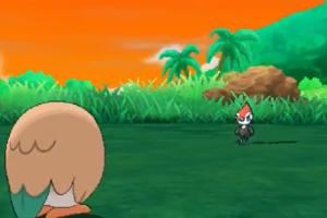 Ultimate Guide: How to Beat the Elite Four in Pokémon Sun and Moon