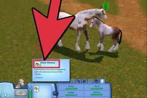 Ultimate Guide to Breeding Pets in The Sims 3 Pets (PC)