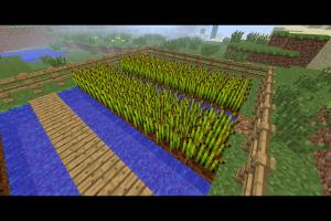 Mastering Minecraft: Your Ultimate Guide to Building a Basic Farm