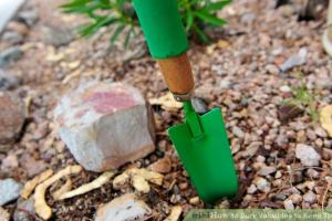 How to Bury Valuables: A Comprehensive Guide to Safeguarding Your Assets