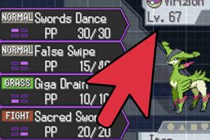 Ultimate Guide to Catching a Shiny Haxorus: Secrets Revealed!