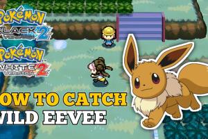 Mastering the Hunt: How to Catch a Wild Eevee in Pokémon Black/White 2