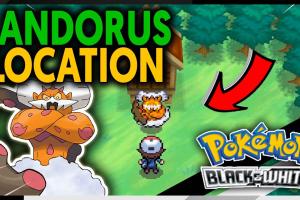 Ultimate Guide on How to Catch Landorus in Pokémon Black and White