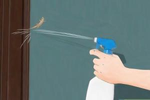 Effective Strategies to Chase Lizards Out of Your House: A Comprehensive Guide