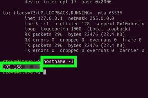 Mastering the Command Line: How to Check Your IP Address in Linux