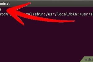 Mastering Path Checking in Unix: A Comprehensive Guide