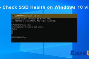 Mastering SSD Maintenance: Comprehensive Guide to Checking SSD Health