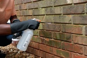 Ultimate Guide on How to Clean Bricks: Tips & Techniques
