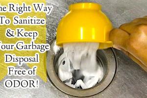Ultimate Guide to Cleaning Your Garbage Disposal and Eliminating Odors