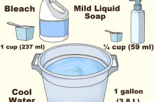 Ultimate Guide: How to Effectively Clean Mildew, Mold, and Moss from Canvas Awnings