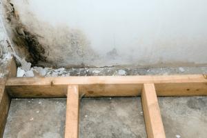 Ultimate Guide to Cleaning Mold in Your Basement: Tips & Techniques