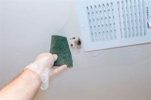 Effective Strategies for Cleaning Mold off Ceilings and Preventing Future Growth