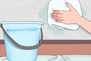Ultimate Guide on How to Clean Plaster Walls: Tips and Techniques