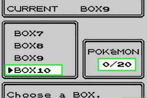 Mastering the Art of Cloning Pokémon in Pokémon Gold and Silver