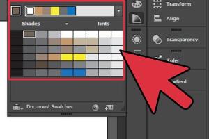 Mastering Color in Adobe Illustrator: A Comprehensive Guide for Beginners