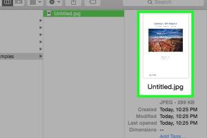 Mastering the Art of Converting Mac .Pages to JPEG: The Ultimate Guide