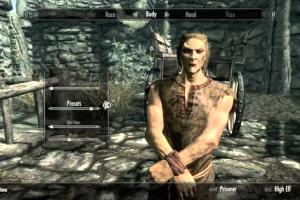 Crafting Your Perfect Skyrim Character: A Comprehensive Guide