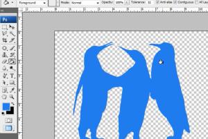 Mastering Silhouettes: A Comprehensive Guide to Create Stunning Silhouettes in Photoshop