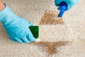 Ultimate Guide to Deep Cleaning Your Carpet for a Healthier Home