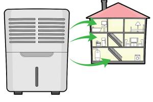 Ultimate Guide to Dehumidifying Your Home: The Best Methods and Tips
