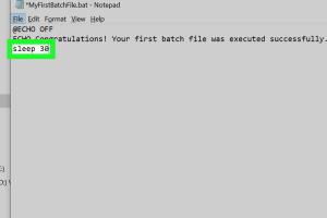 Mastering Batch File Delays: Timeout, Pause, Ping, Choice & Sleep Techniques
